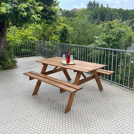 Paisible Eden Standing Terrasse - Magnifique Vue - Esprit Nature En Pleine Ville Tulle Exteriér fotografie