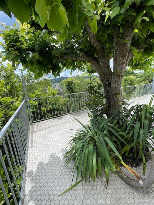 Paisible Eden Standing Terrasse - Magnifique Vue - Esprit Nature En Pleine Ville Tulle Exteriér fotografie
