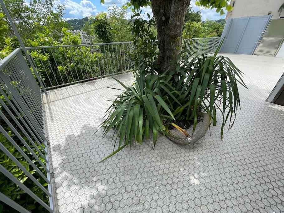 Paisible Eden Standing Terrasse - Magnifique Vue - Esprit Nature En Pleine Ville Tulle Exteriér fotografie